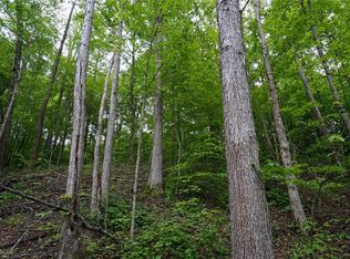 Township Road 460, Woodsfield, OH