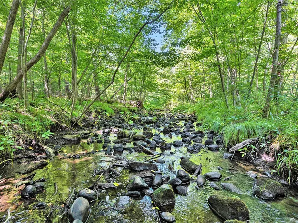 Rickert Rd, Saranac, MI 48881