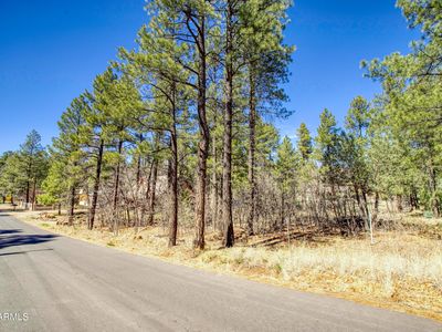 1036 W Apache Lane #118, Lakeside, AZ, 85929