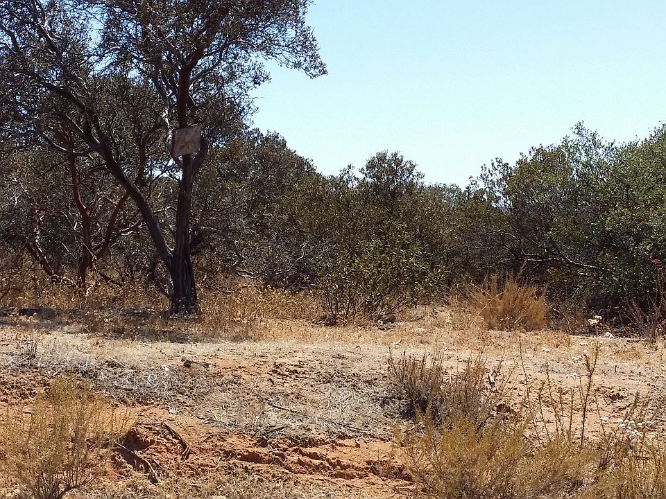 2nd image of Eltinge-vacant Land