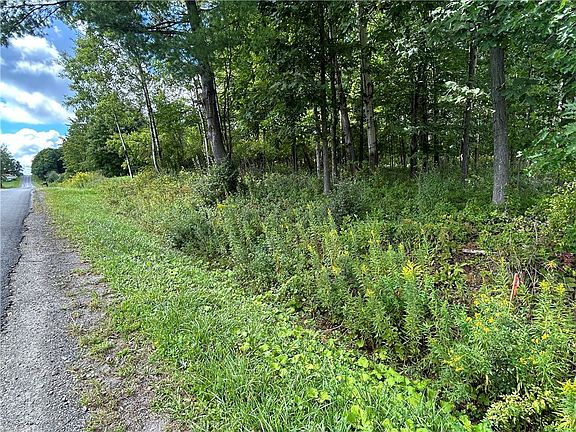 5th image of 0 Pre Emption Rd Lot 11