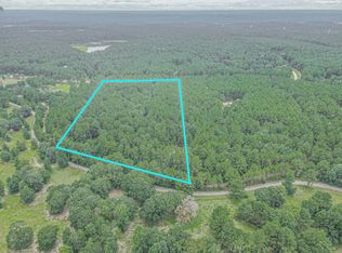 9947 Amelia Dr, Anderson, TX 77830