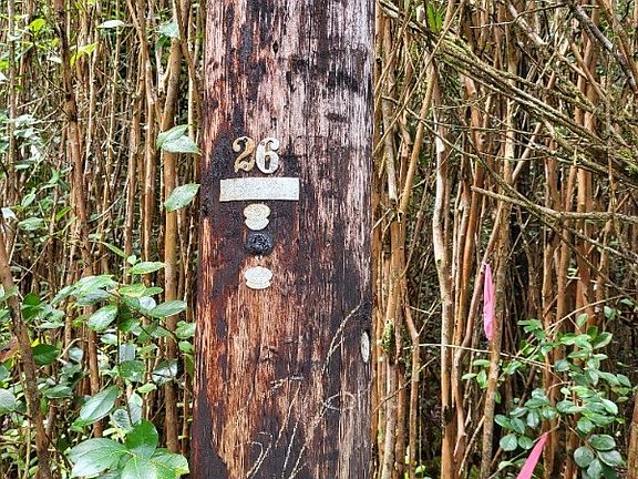 5th image of Road 11 Pulelehua Lot 6052