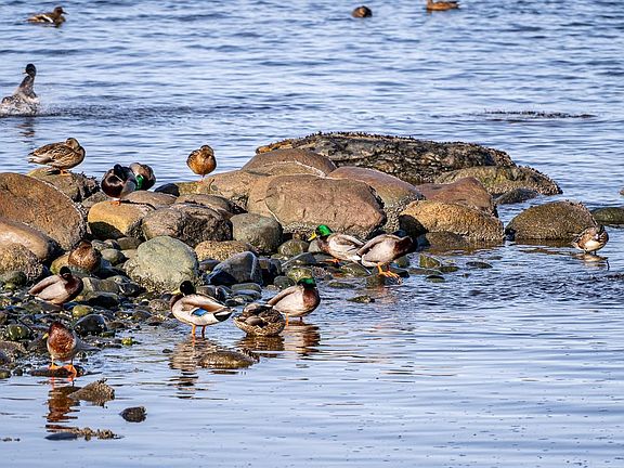 5th image of 1426 Wilkinson Rd