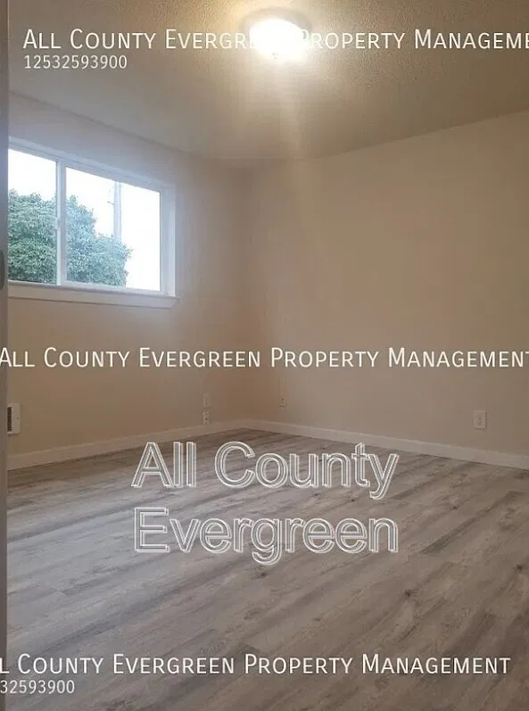 2 bed, 1.0 bath, 775 sqft, $1,595 — Photo 3