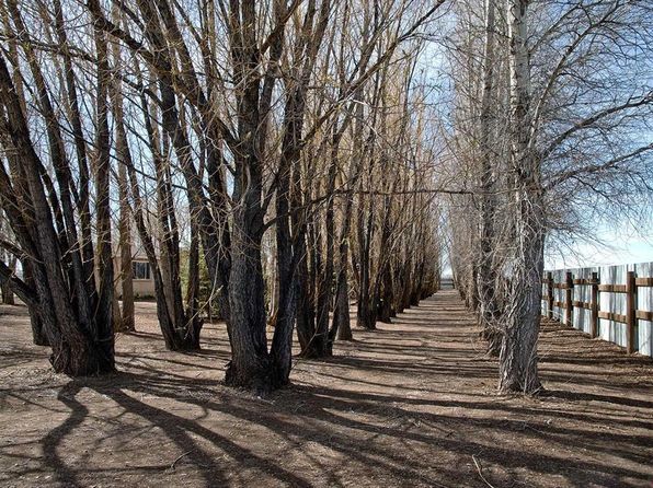15331 County Rd T.125, La Jara, CO 81140