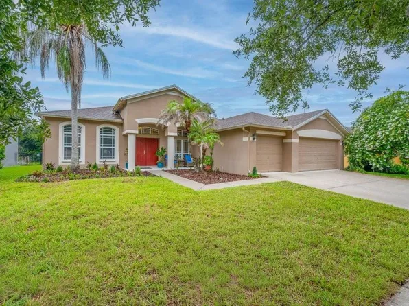 16135 Bridgedale Dr, Lithia, FL 33547