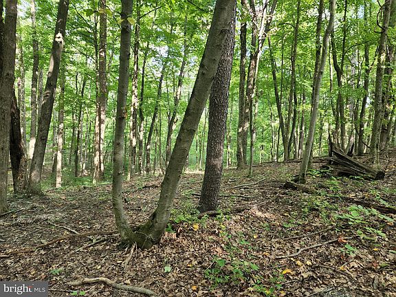 3rd image of Dogwood Ln