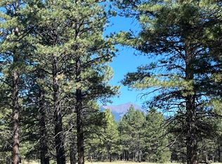 0 Forest Road St #193, Flagstaff, AZ 86001