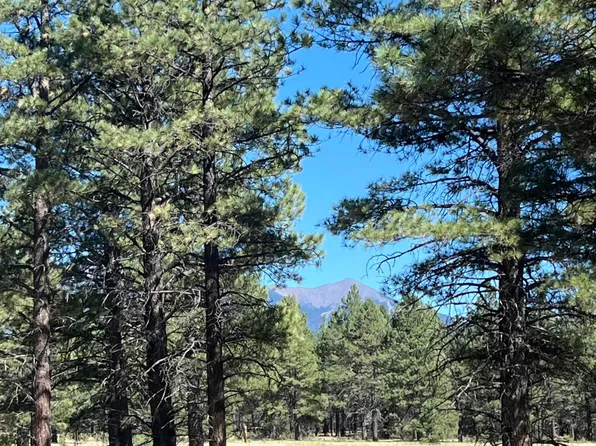 0 Forest Road 193 Street #0, Flagstaff, AZ 86001