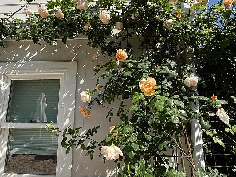 1703 Chapala St #A — Photo 23