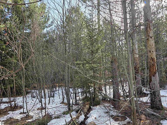 3rd image of 1 Cedar River Rd