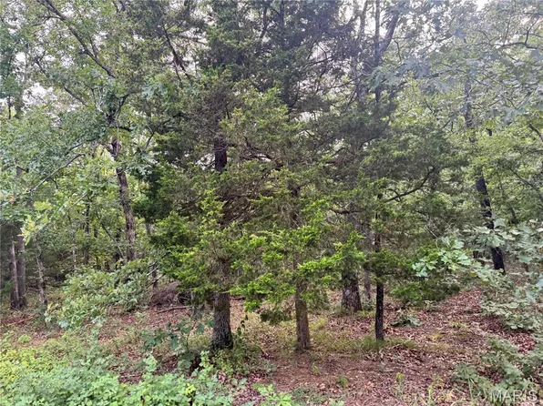 645 Pond Run Rd, Gerald, MO 63037