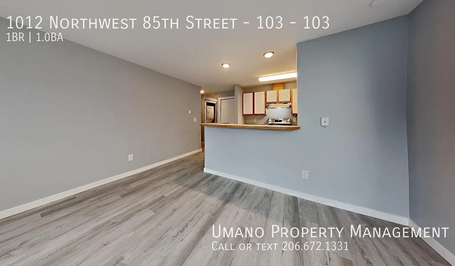 1 bed, 1.0 bath, 587 sqft, $1,595 — Photo 3