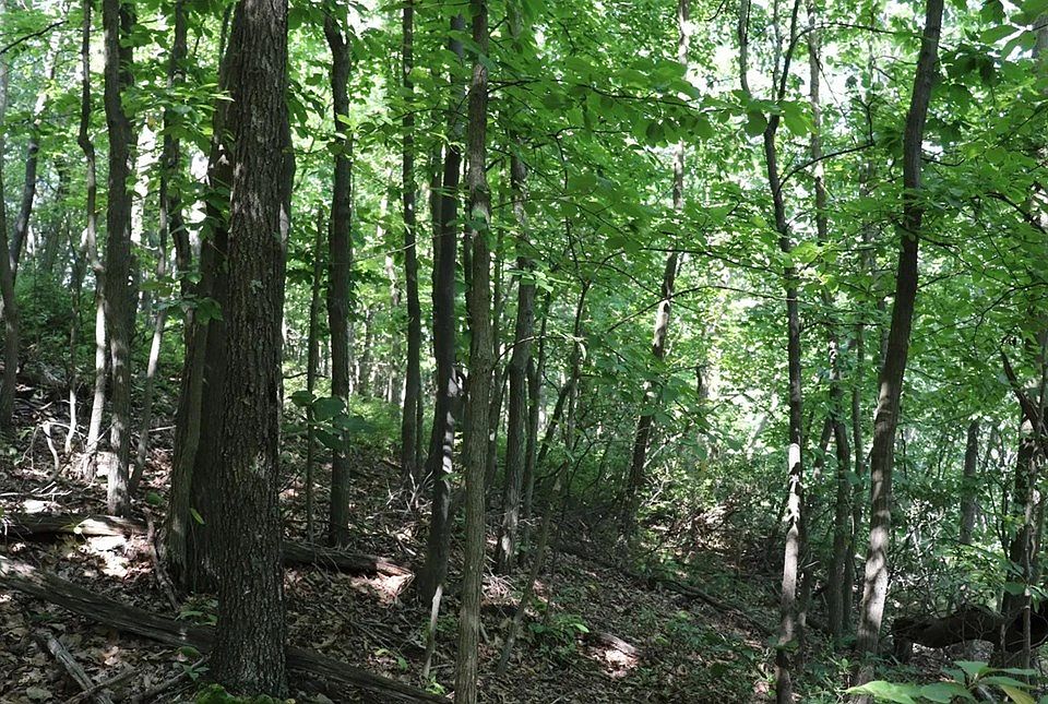 2nd image of LOT 320 Ridge Run