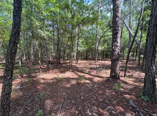 5B Tinker Creek Rd, Williston, SC 29853