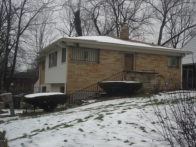 Front View