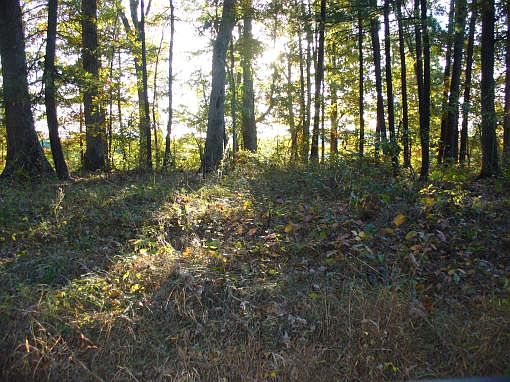 2nd image of NE National Pike Rd