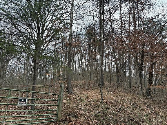 4th image of Long Run Rd