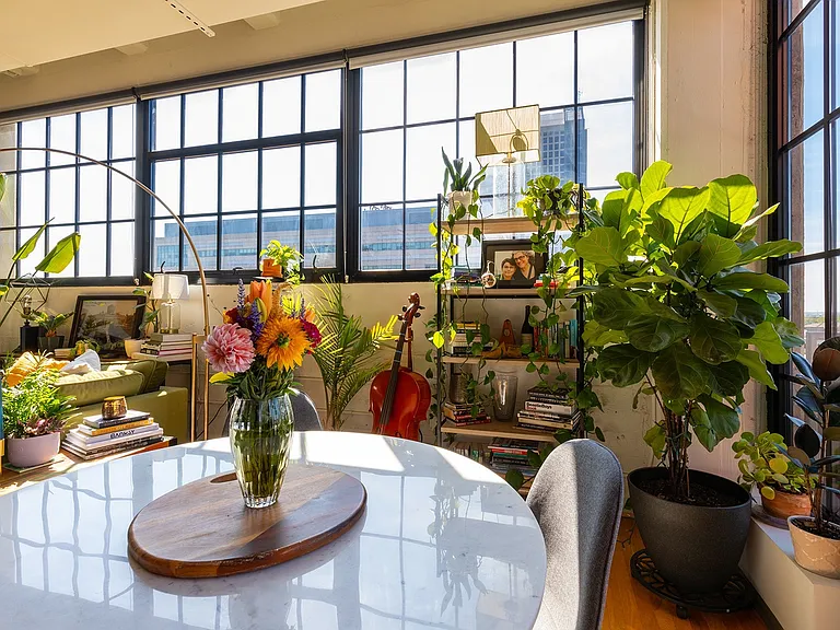 Suitable Room for Plants