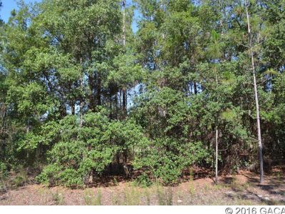 SW 90 Ave, Newberry, FL, 32669
