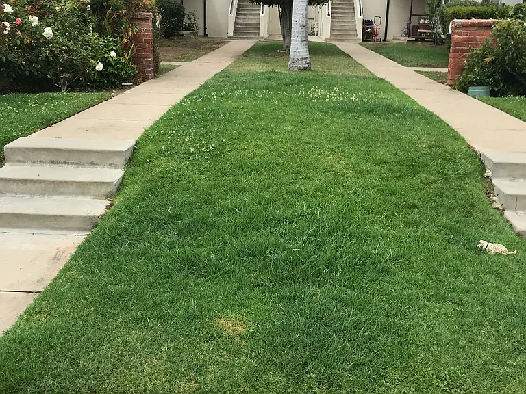 3870 Lamont St — Photo 12