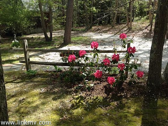 shell driveway and many plantings