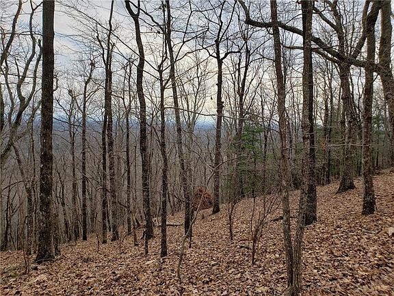 3rd image of 8242 Cox Mountain Dr #8242