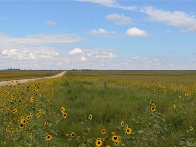 6 County Rd S Parcel 6, Rush, CO, 80833