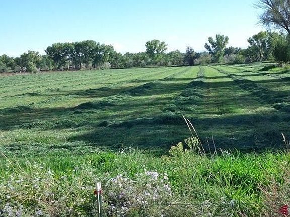 5.5 Acre Irrigated Property