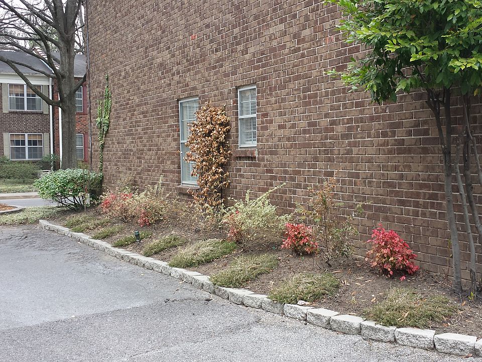 Side
