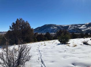 423 Kenosha Rd, South Fork, CO 81154