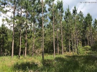 0 Boyce Rd, Glen St. Mary, FL 32040