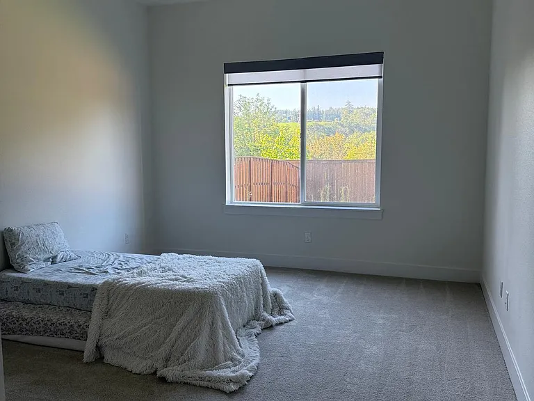 Bedroom - Basement