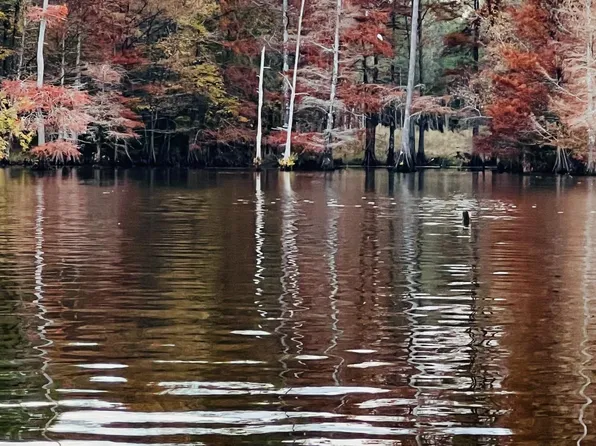 0 Alexis Dr, Farmerville, LA 71241