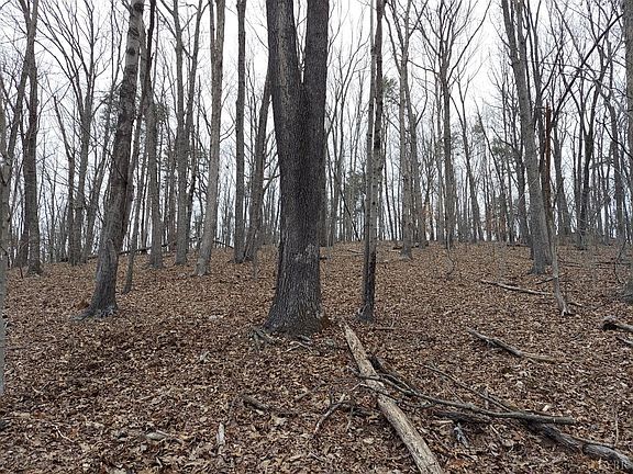 3rd image of 0 Richmond Hwy Lot 3-1