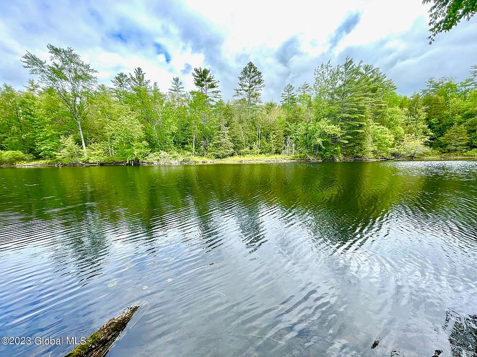 327 Valley Farm Road, Pottersville, NY 12860 Zillow