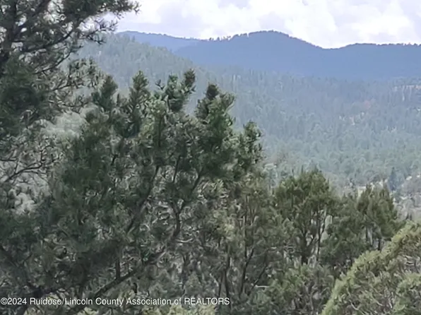 185 Crown Ridge Rd, Alto, NM 88312