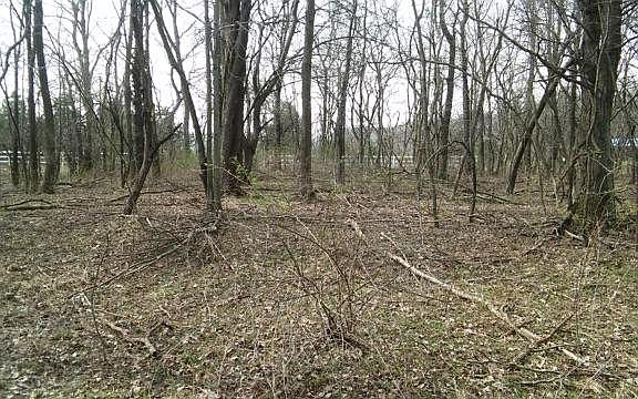 2nd image of 299 Candlewood Dr #299