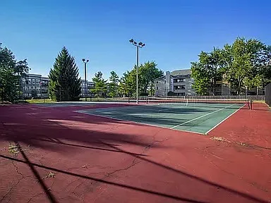 2303 Vicente Ct — Photo 4
