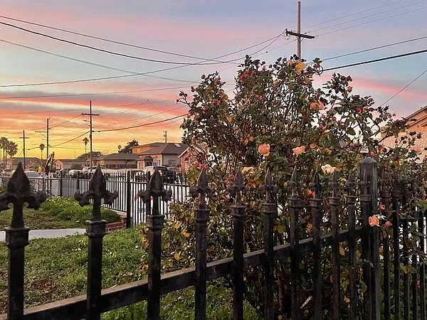 1 bed, 600 sqft, $2,100 — Photo 3