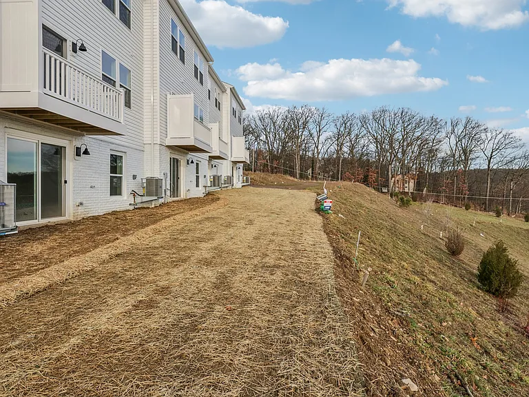 Rear view - Level Back yard