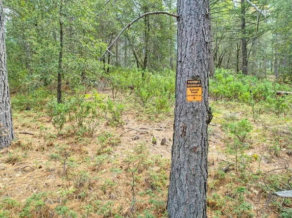 7331 Grey Eagle Rd, Georgetown, CA 95634