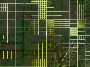 14110020 Holopaw Groves Rd, Saint Cloud, FL 34773