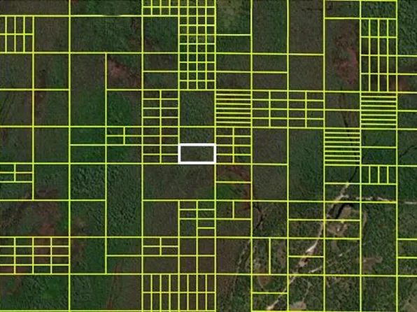 14110020 Holopaw Groves Rd, Saint Cloud, FL 34773