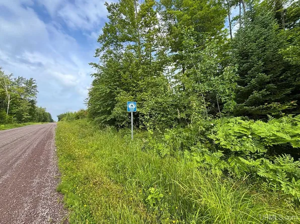 Bear Town Rd, Baraga, MI 49908