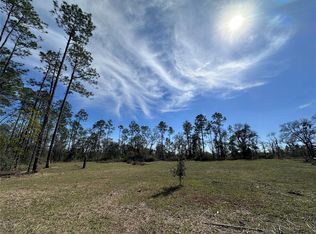 Tbd Ne 127th Ct, Williston, FL 32696
