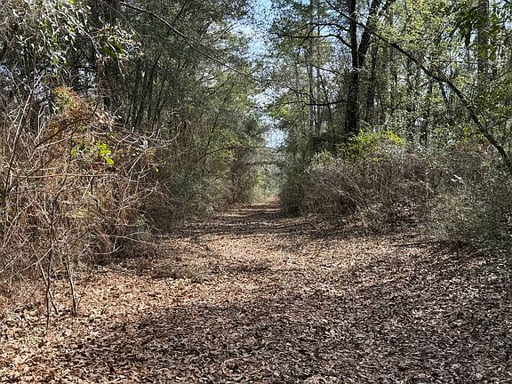 5th image of 0 Comalander Rd