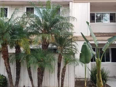10143 Arleta Ave UNIT 4, Arleta, CA, 91331