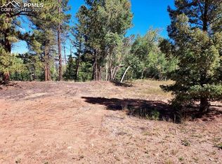 1763 County Road 421, Florissant, CO 80816
